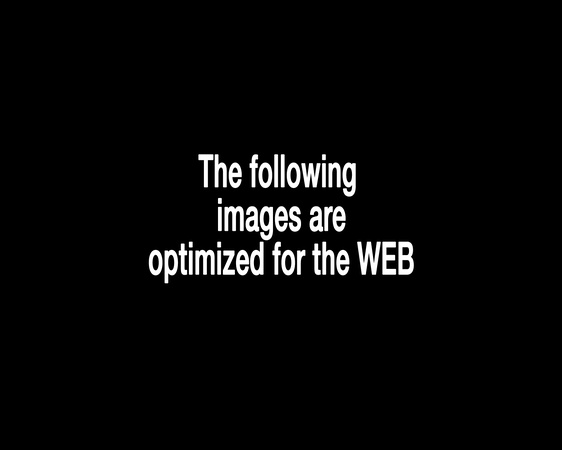 Optimized For Web